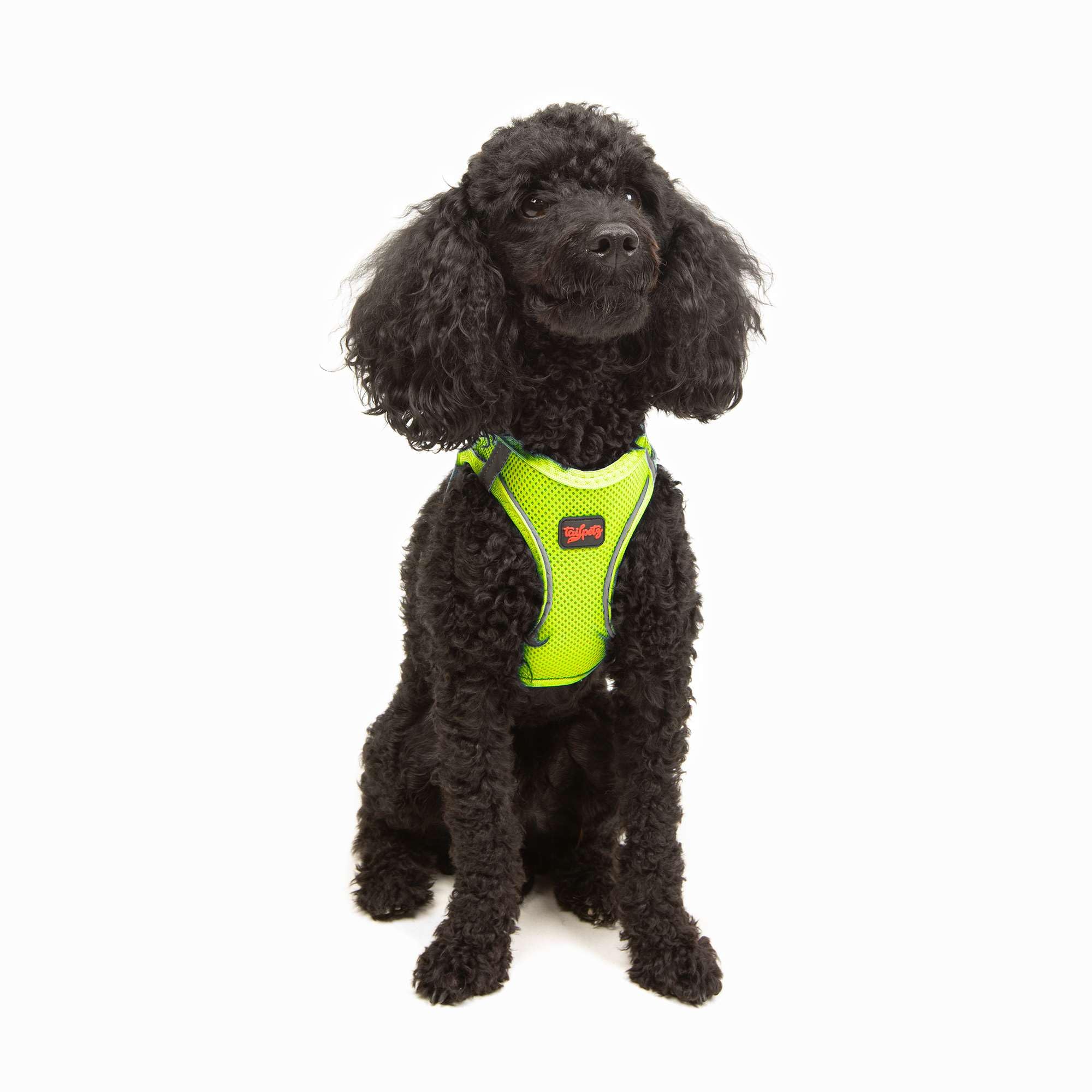 Tailpetz Air-Mesh Küçük ve Orta Irk Kedi Köpek Göğüs Tasması