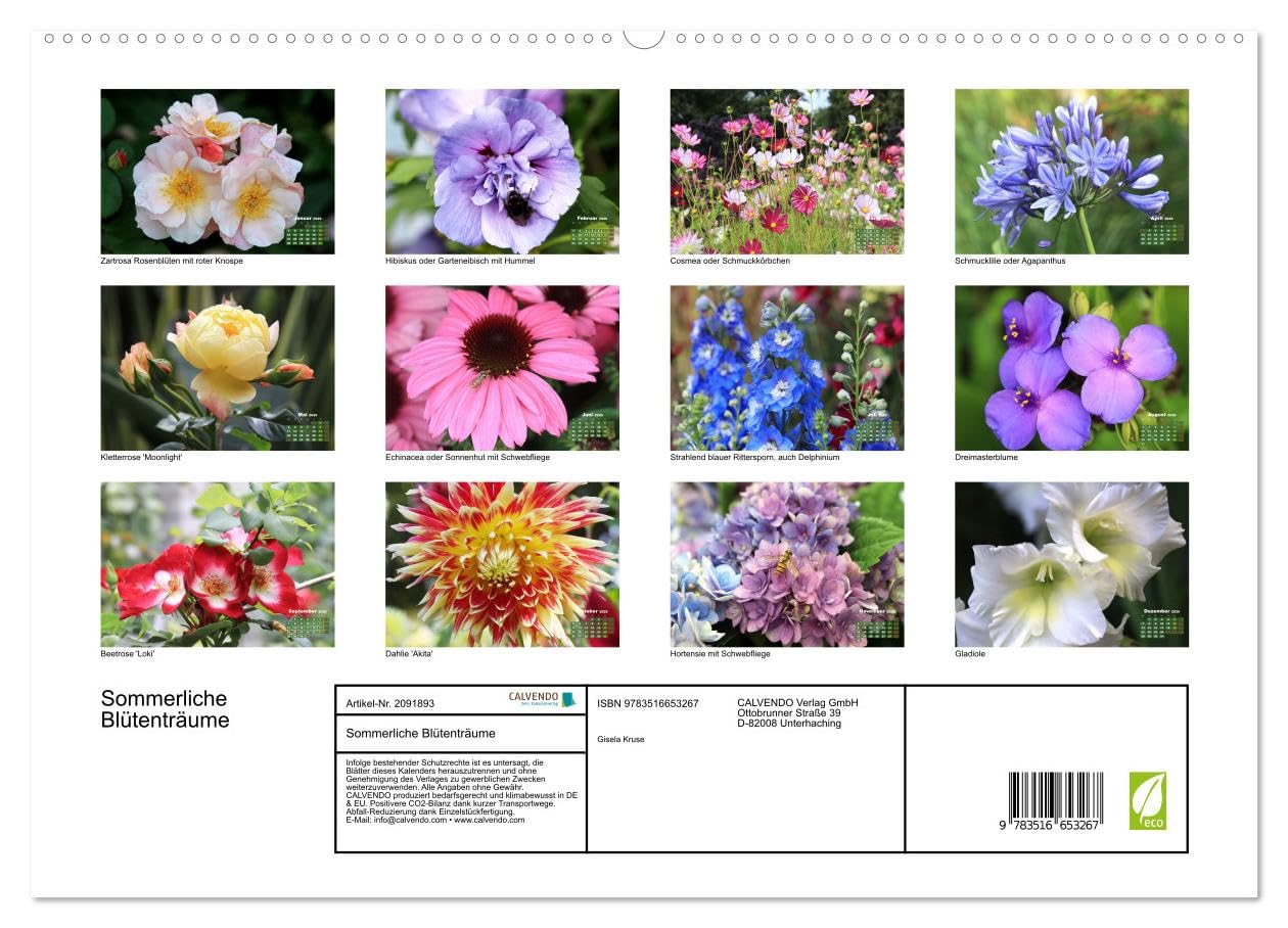 Sommerliche Blütenträume (hochwertiger Premium Wandkalender 2026 DIN A2 quer), Kunstdruck in Hochglanz: Ein ganzes Jahr voller floraler Poesie (CALVENDO Natur)