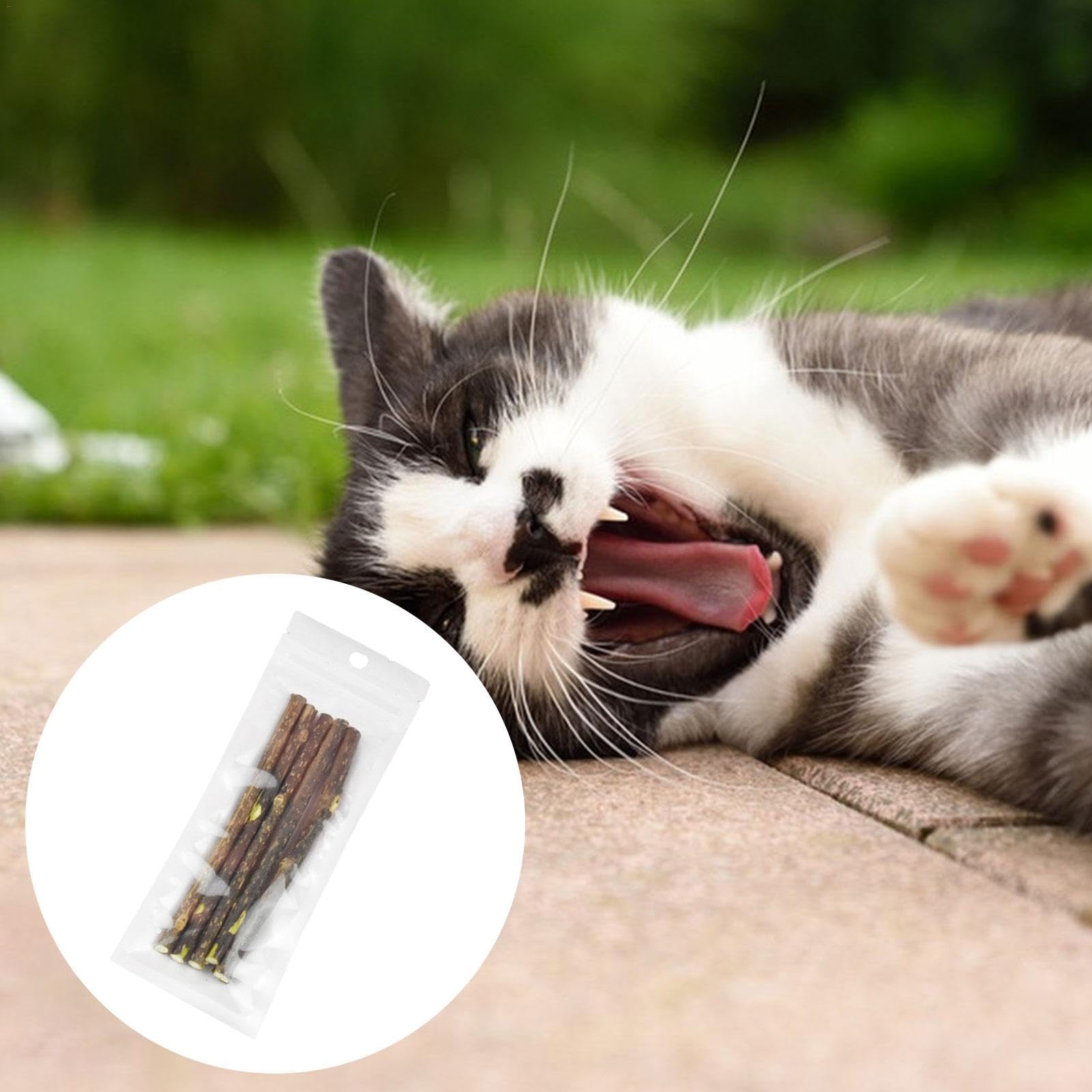 5 pezzi giocattolo per gatti giocattolo da masticare con gatto giocattolo