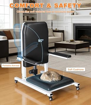Electric Lift Chair, Electric Chair Lift with 4 Wheels for Elderly, Portable Floor Lift with Height Adjustable 3.9-19.7, Seat Belts, Handrails for Home, Up to 600 LBS (Black)