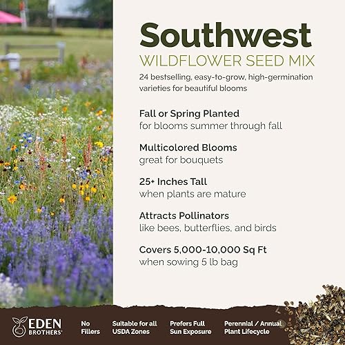 Miniatura 44 de Eden Brothers Midwest - Semillas mixtas de flores silvestres para plantar, 1 libra, más de 480,000 semillas con aciano, Candytuft, sombrero mexicano