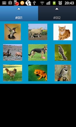 Pets Sounds