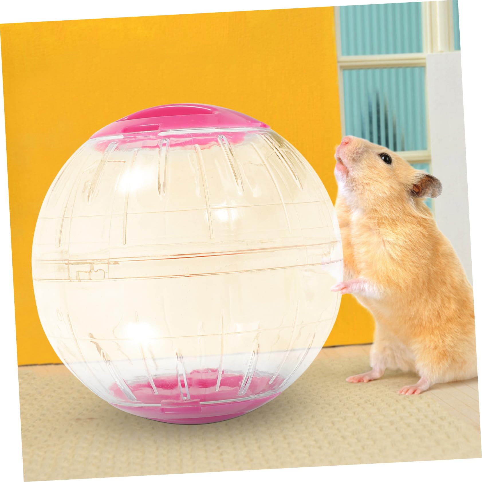 BESPORTBLE 4pièces Roue Exercice Transparente pour Hamsters Roue De Course Silencieuse pour Petits Animaux Jouet Activité pour Rongeurs Compatible avec Gerbilles Et Souris