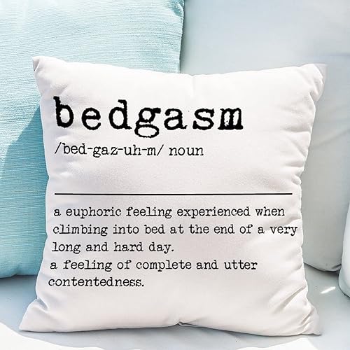 Miniatura 5 de Bedgasm Sustantivo Definición Palabra Descripción de la Palabra Cojín Diccionario Significado Tipografía Impresión Artística Funda de Almohada