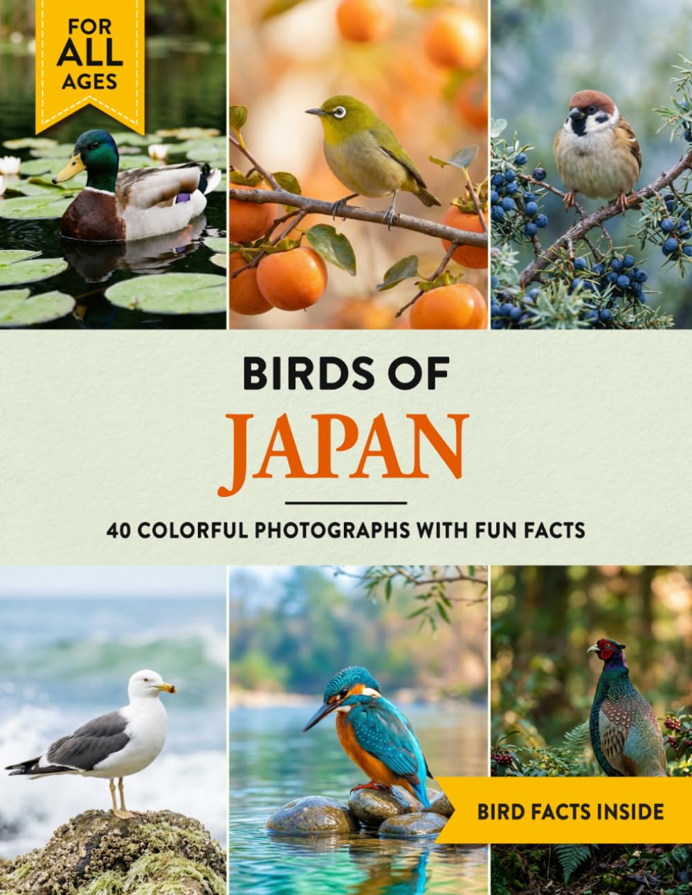 Birds of Japan: A Birdwatching Picture Book with Fun Facts and Photography for Kids, Adults & Birders