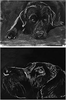 Black Labrador Wall Art Prints, Expressive Black Lab Retriever Charcoal Drawings, Pet Dog Gift Owner stocking filler Choice of size signed by Oscar Jetson (a3)