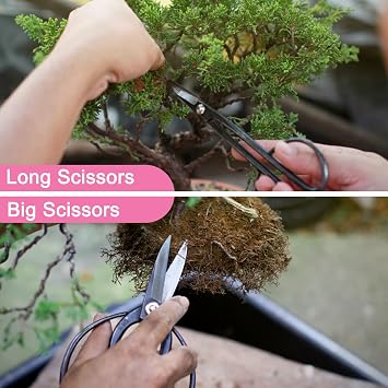 16PCS Bonsai Tools Set for Beginners, Professional Bonsai Tree Kit with Pruning Scissors, Trimming Shears, and Gardening Tools - Perfect for Bonsai Care and Starter Kit (Pink)