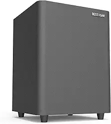 BESTISAN Subwoofer, Subwoofer de áudio doméstico alimentado BESTISAN com graves profundos em design compacto, fácil integração com recepços/TV/Soundbars/alto-falantes, entradas e saída de áudio de linha LFE e estéreo, preto, SW65C