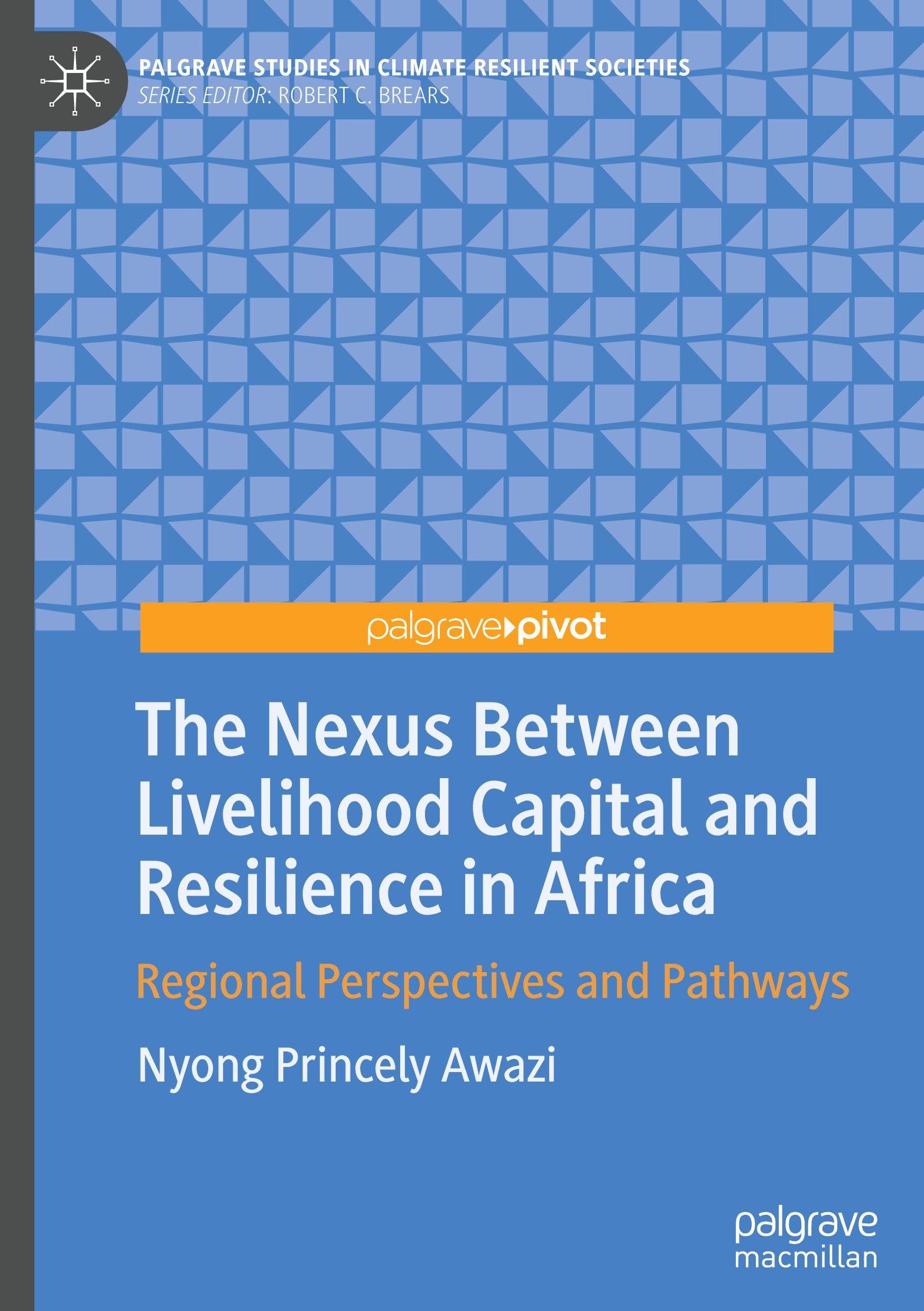The Nexus Between Livelihood Capital and Resilience in Africa: Regional Perspectives and Pathways (Palgrave Studies in Climate Resilient Societies)