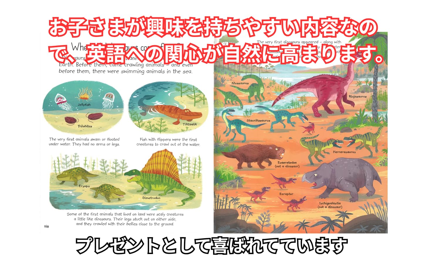 Amazon.co.jp: 【英語百科事典】イギリスの子ども百科事典 英語図鑑
