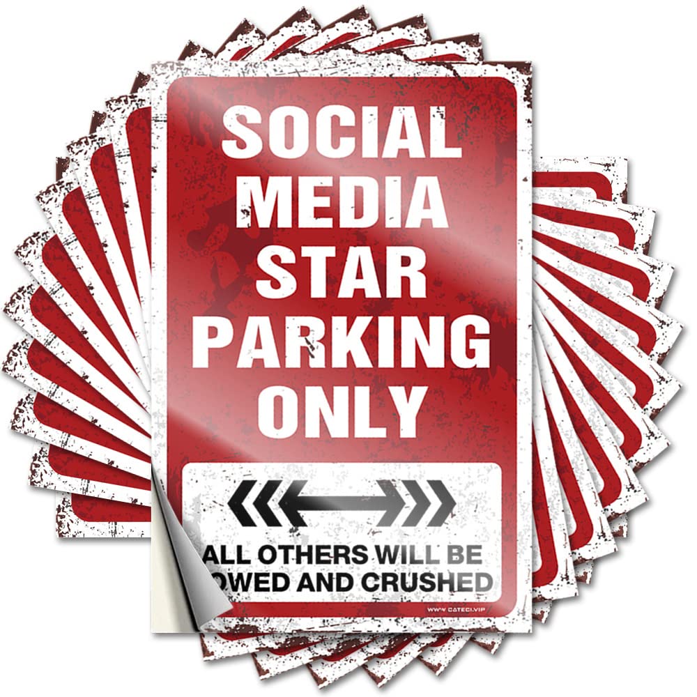 Fall Door Decorations Tattoos - Vintage Mom Laptop Social Media Star Parking Only(8X12CM)