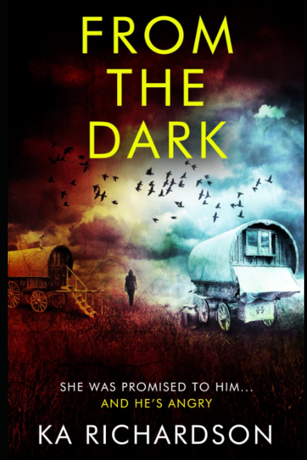 From The Dark (North East Police)