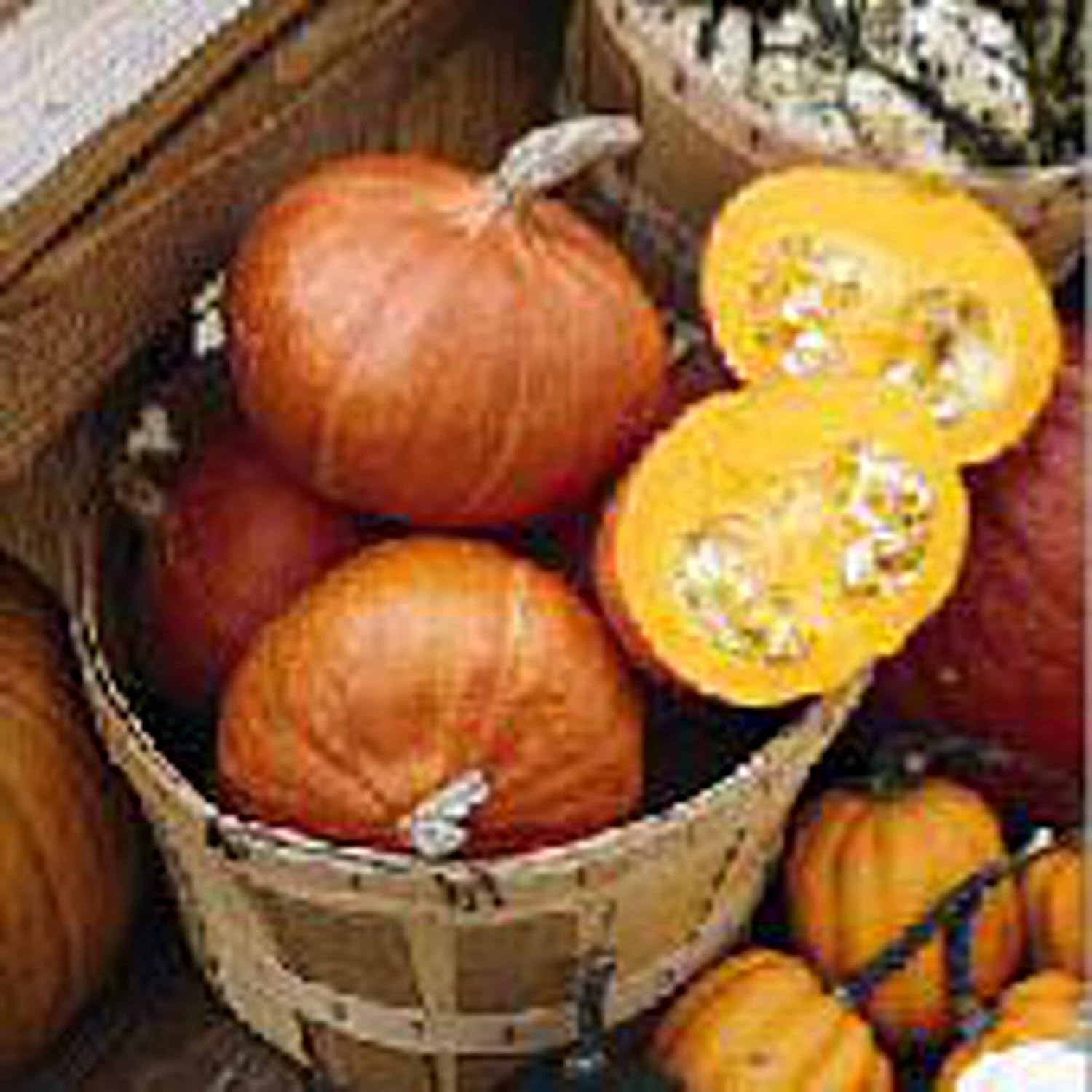 GENERIC Ambermax Squash Seeds (25+ Seeds)(Non GMO Organic Vegetable Fruit Garden Seeds) Non-Hybrid, by Home Decorium