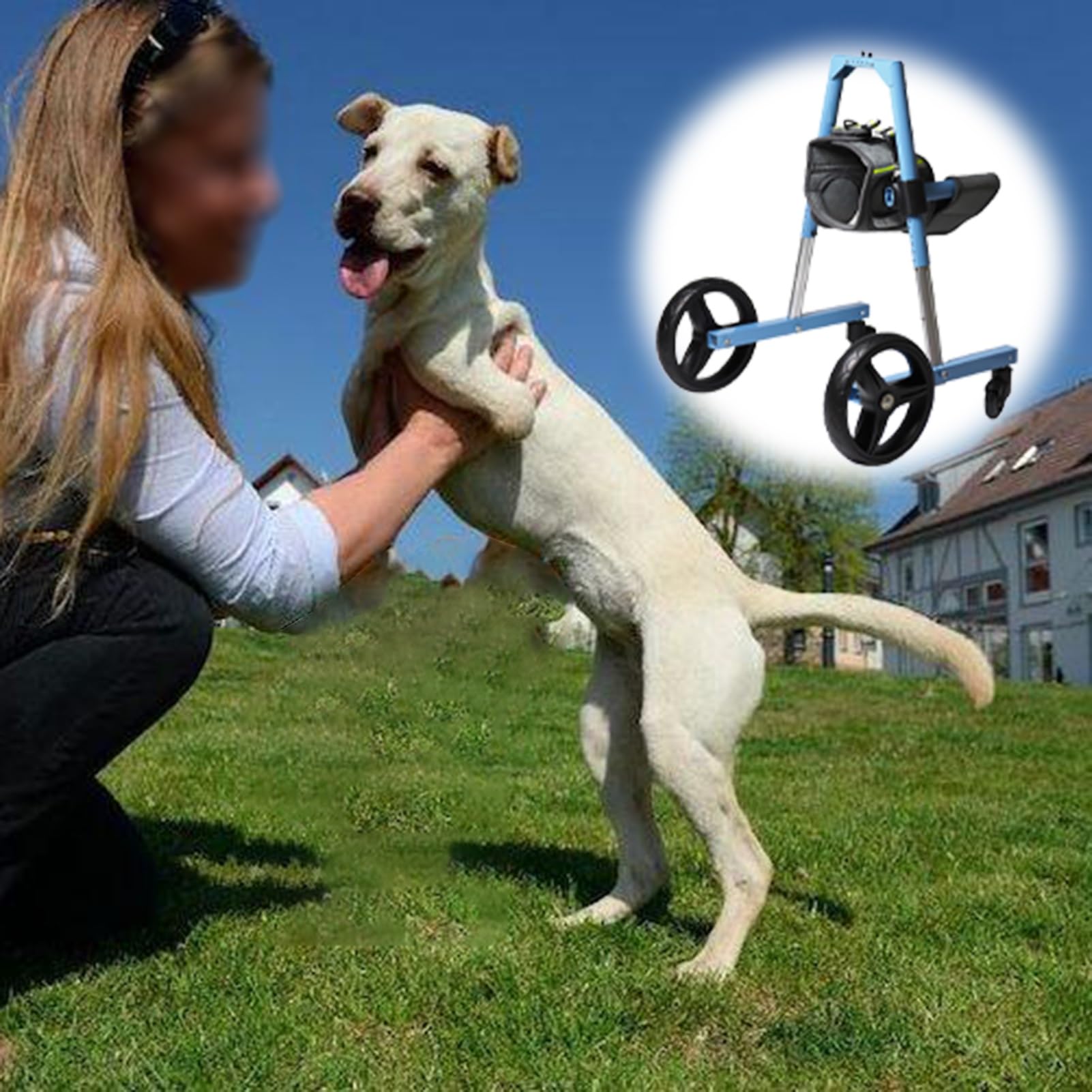 Andador para perros medianos con 2 ruedas de apoyo delantero y arnés protector 1