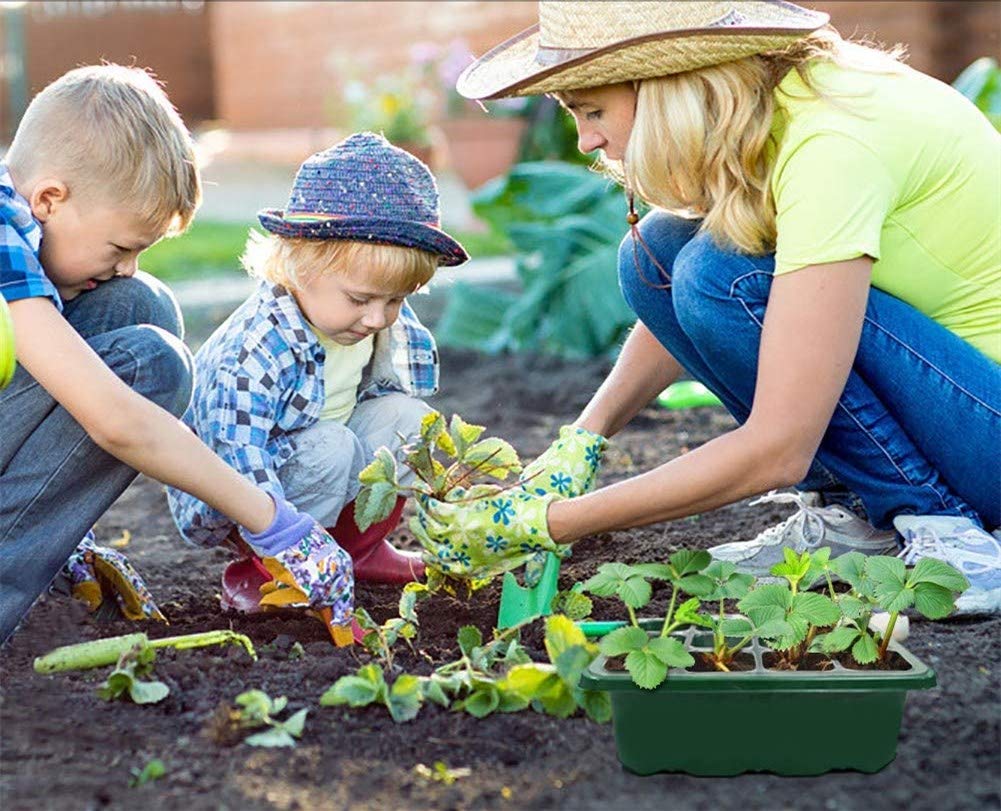 Voarge Invernadero de interior, con 12 agujeros para plantas y tapa, para invernadero, cultivo, macetas, macetas, macetas, jardineras