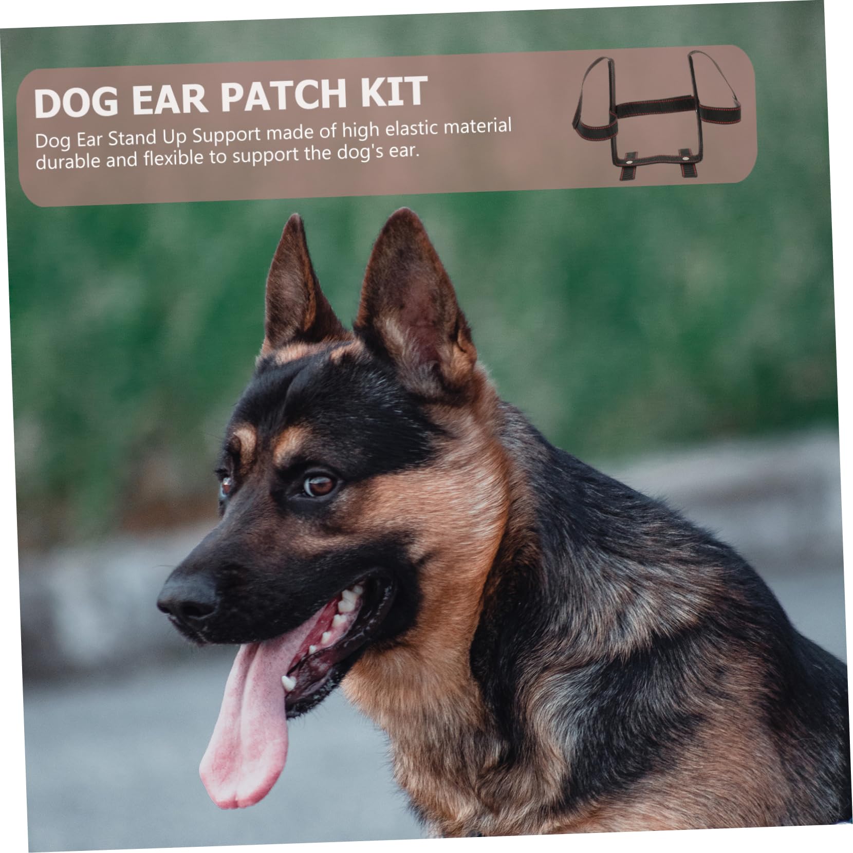 2 Juegos De Erector De Orejas, Kit para Colocar Las Orejas De Perro, Cuidado De Las Orejas De Perro, Soporte para Orejas De Perro, Kit De Soporte De Cinta para Orejas De Perro,