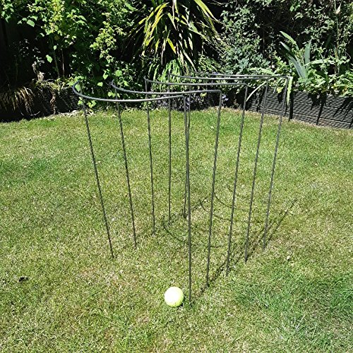Plant Supports Metal 75cm Tall Medium Curved 6mm mild steel (FIVE PACK) Made in UK. As seen on TV and gardening magazines. Used by professional gardeners.