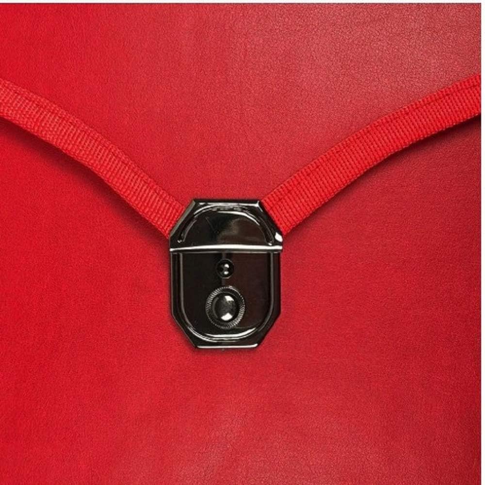 Masonic Regalia MM/WM Cases II