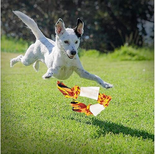 Miniatura 6 de Crazy Tails Juguetes masticables para cachorros para perros pequeños juego de juguetes para perros pequeños cuerda de algodón hueso de búfalo de 3