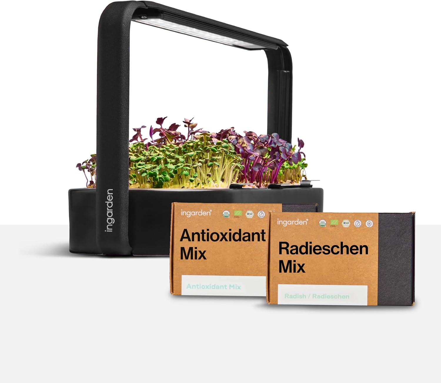 Ingarden Smart Garden Starter Set – Indoor Garden with LED for Microgreens – Includes 12 Organic Seed Pads – Ceramic Bowl Volcanic Black – Scandinavian Design – Ready to Harvest in Just 7 Days