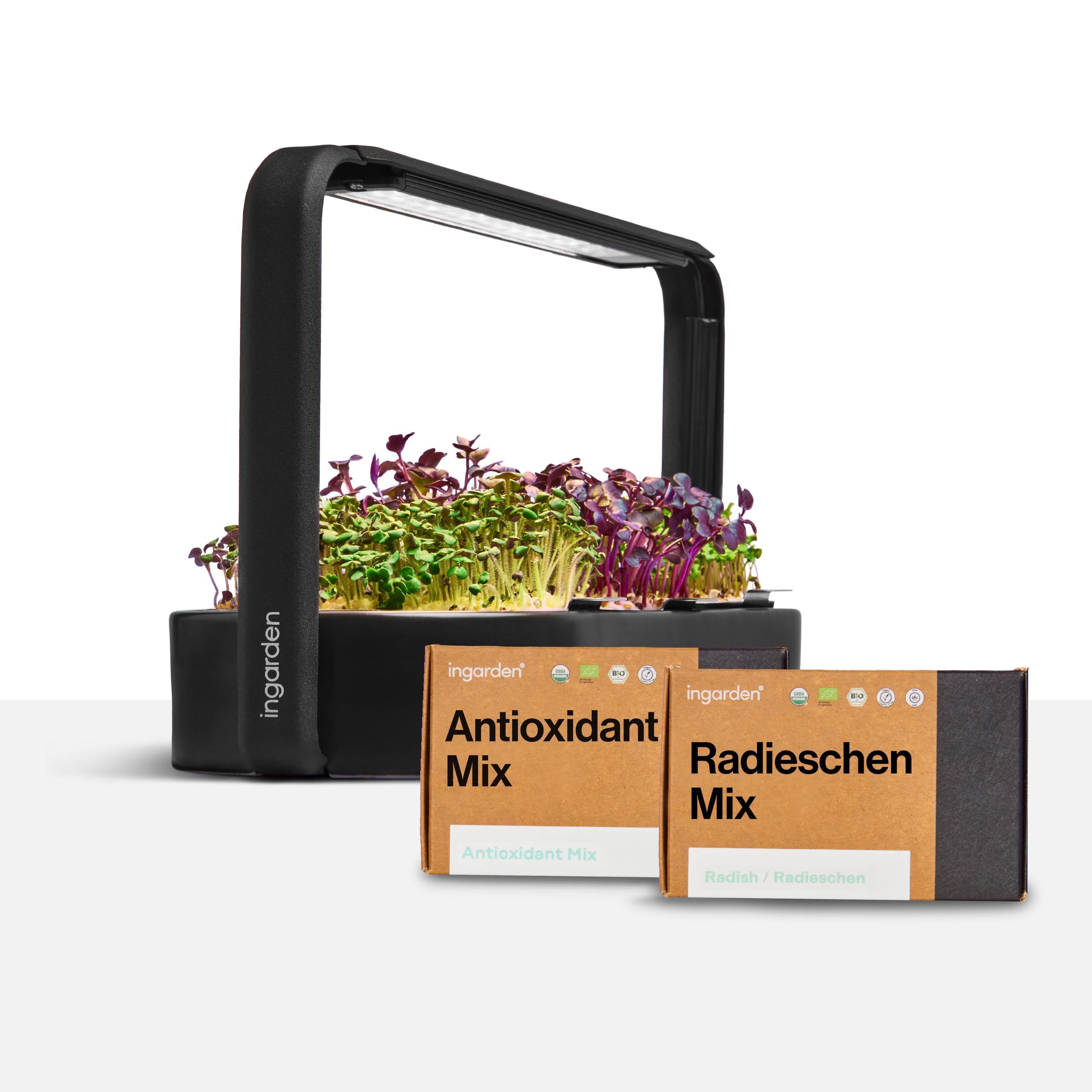 Smart Garden zestaw startowy – Indoor Garden z diodami LED do mikrozielonych – w zestawie 12 ekologicznych nasion – miska z ceramiki w kolorze wulkanicznej czerni – skandynawskie wzornictwo