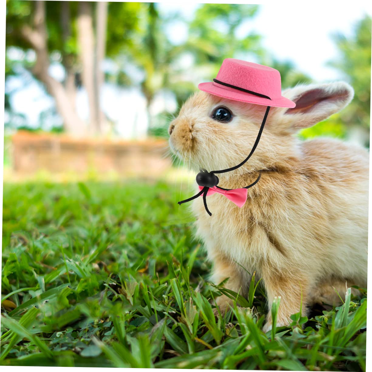 SUPVOX 4 Set Set Di Cappelli Per Animali Domestici Accessori Per Conigli Accessori Per Rettili Cappello Rettile Cane Collare Da Cucciolo Tè Da Coniglio Mini Decorare Stoffa