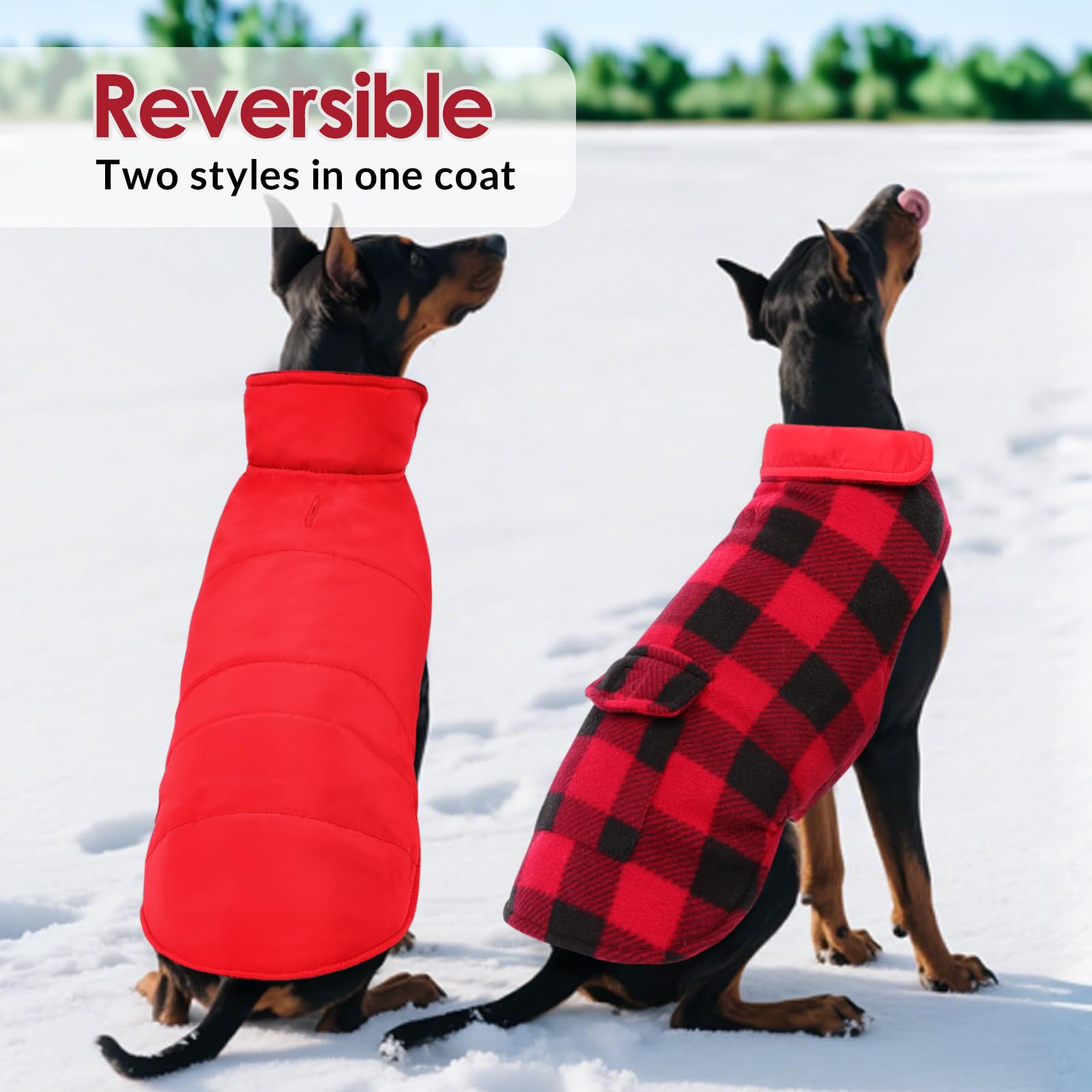 ASENKU Cappotto Cane Impermeabili Invernale, Cappottino Cane Reversibile Antivento Freddo Taglia Media L, Calda Giacca per Cani, Gilet per Cani con Fodera in Lana Protegge Dal Freddo