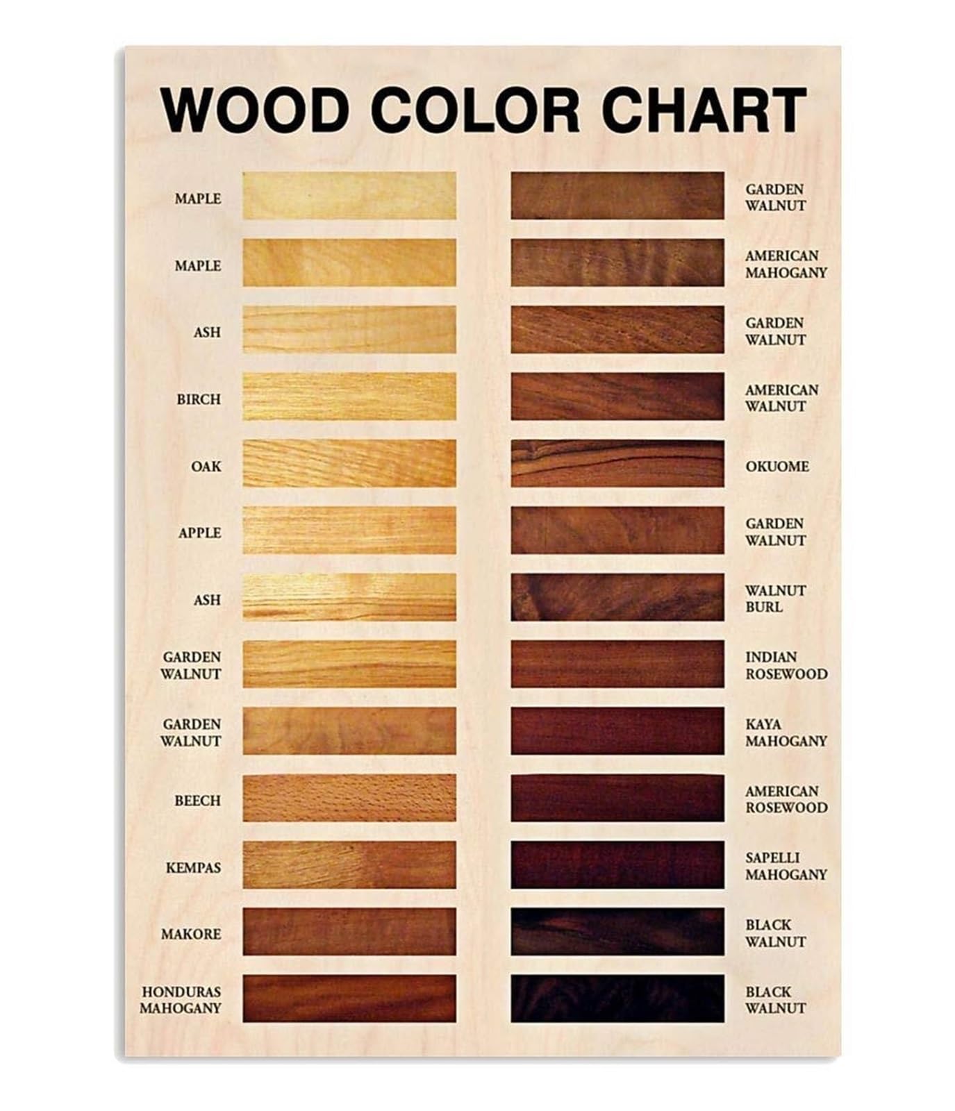 EKFBQBGW Wood Color Chart Vintage Tin Sign Woodworking Basics Reference Guide for Home Workshop Garage Man Cave Wall Decor 8 X 12 inch