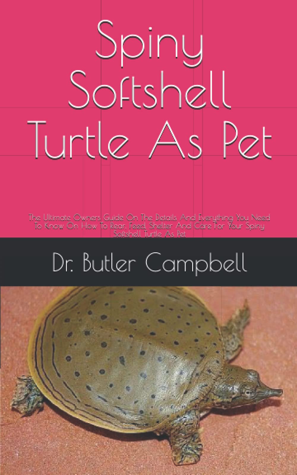 Buy Spiny Softshell Turtle As Pet The Ultimate Owners Guide On The
