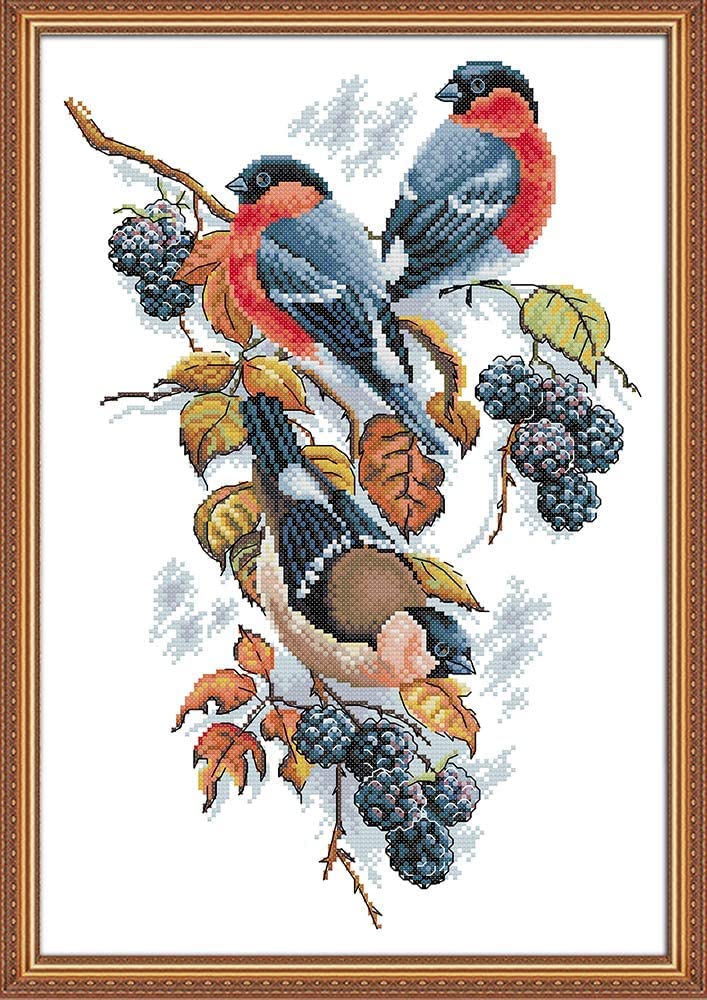 ABEUTY Printed Cross Stitch Kit and Unstamped for Adults, Red Bellies Magpies and Blackberries 14 CT Needlework Kit DIY Artwork Home Wall Decoration