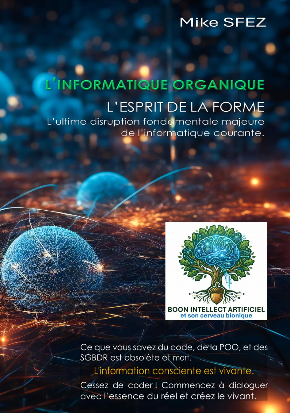 La Métaphysique de l'information quantique