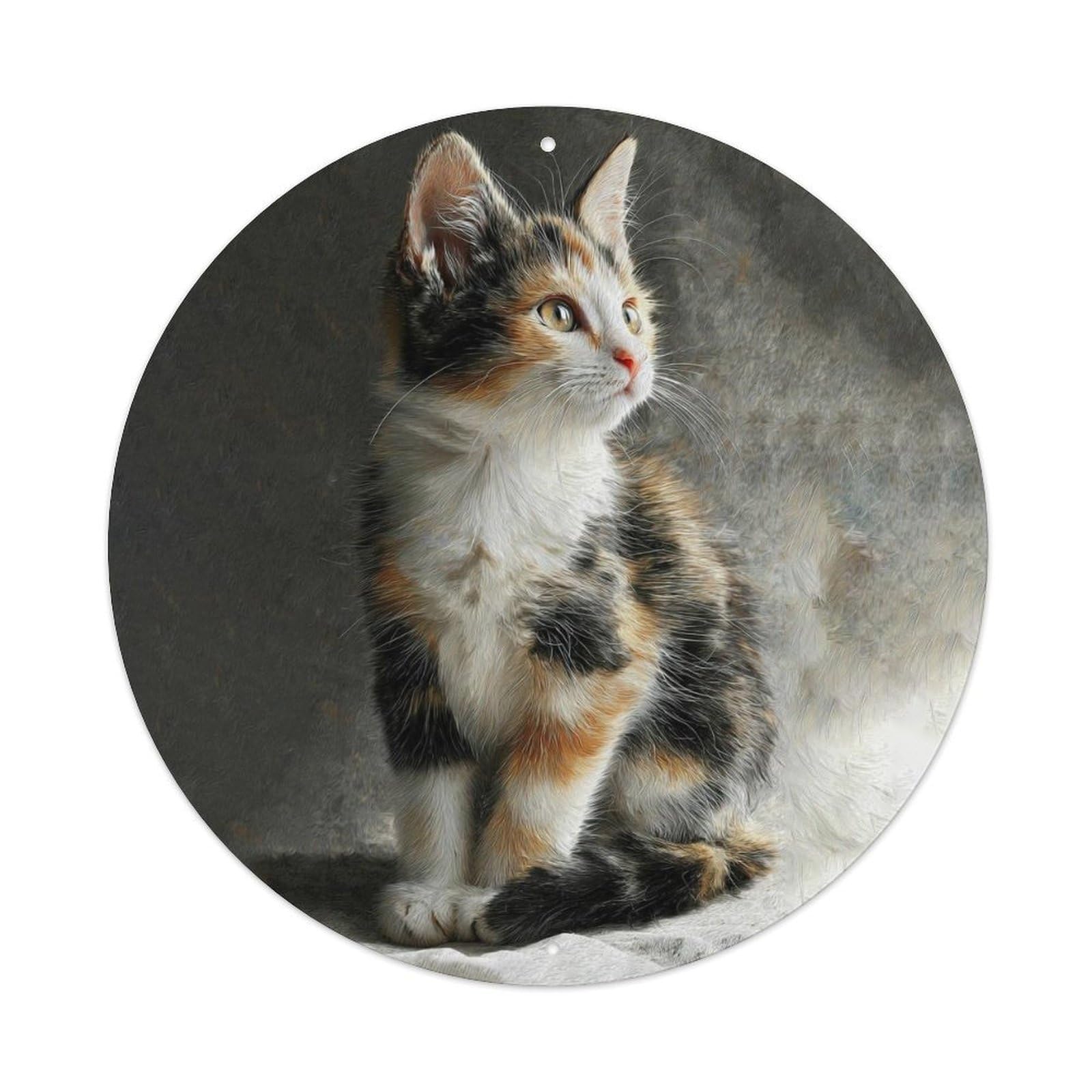 Animal Fluffy Baby Calico Cat Domestic Kitten Curious Vintage Metal Tin Sign Plaque Wall Decor for Cafe, Club Bar, Office, Garden Metal Poster 8x8Inch
