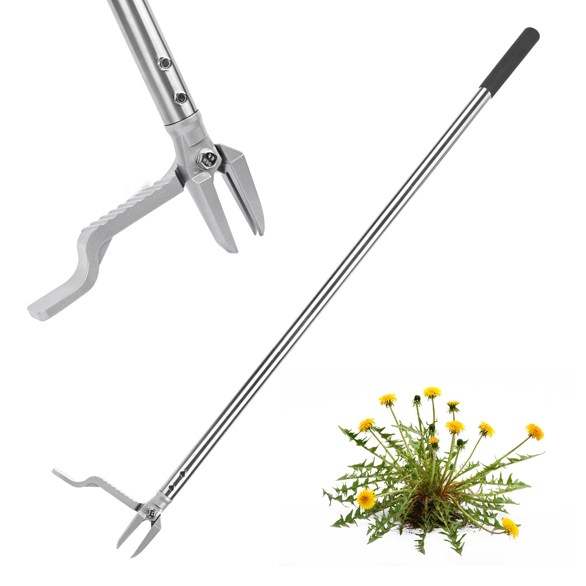 Outil d'arrache-mauvaises herbes pour un jardin et une pelouse impeccables