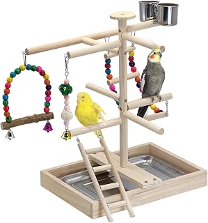 Bird Playground for Training & Playing Natural Wood Parrot Perch Stand Jungle Gym Chewing Toys with Hanging Ladder & Stainless Feeder Cups Parakeet Cage Playstand for Budgie Cockatiel Conure