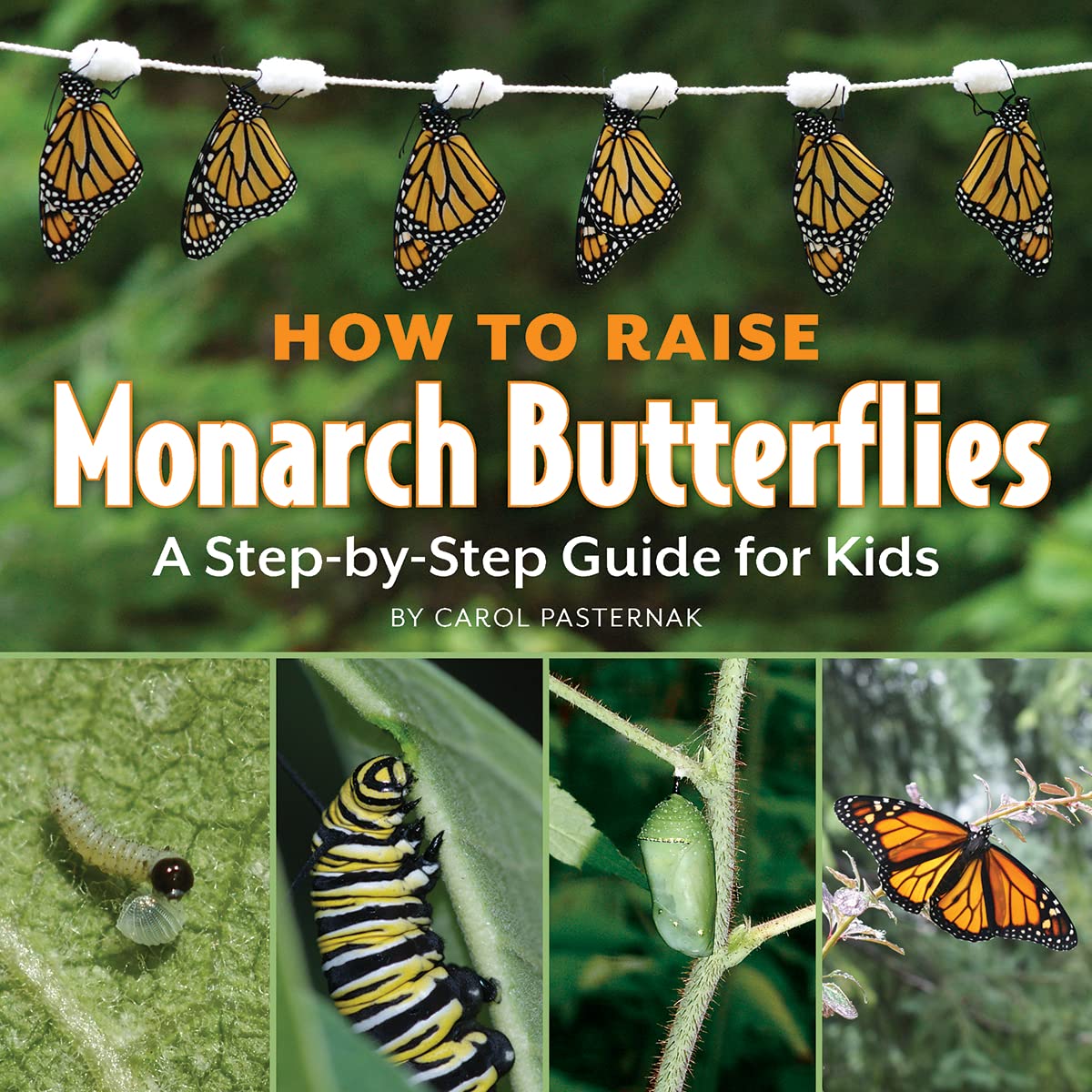 How to Raise Monarch Butterflies: A Step-by-Step Guide for Kids (How It Works)