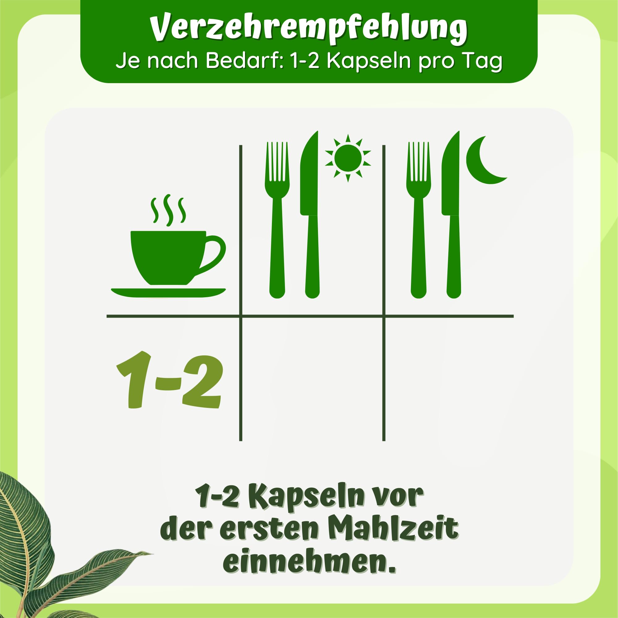 180 Trans-Resveratrol Kapseln hochdosiert - 100:1 Extrakt -1300mg pro Tag