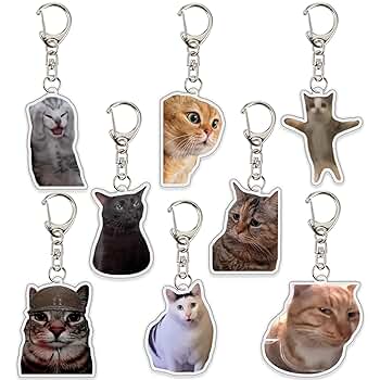 レアアイテム・オールー OOLOO ボンゾのお友達の猫 MERRYTHOUGT Amazon.co.jp: Ohjijinn 8個 猫キーホルダー かわいい猫のミーム
