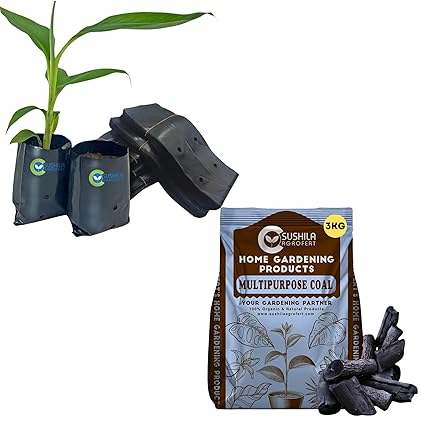 SUSHILA AGROFERT Plant Growing Bags 5X4 Inches 250 Pieces Small Size Seed Germination Multipurpose Charcoal for Barbecue Grill, Pooja Havan, Dhoop, Gardening 3KG