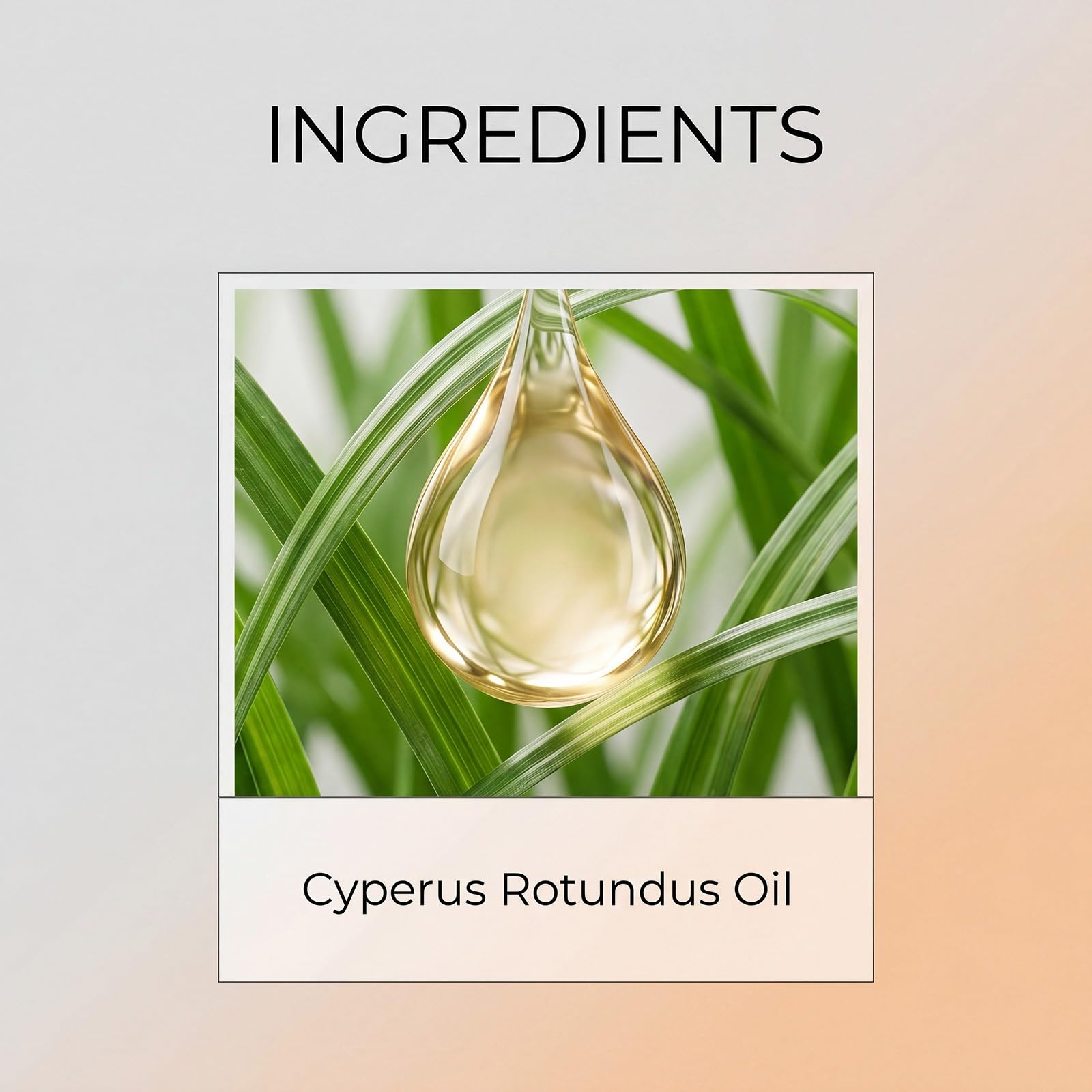 60 ml Naturalny olejek Cyperus Rotundus, premia formuła depilacji, nawilżająca i kojąca, redukuje owłosienie ciała, miękki olejek odpowiedni do wszystkich rodzajów skóry (6 szt.)