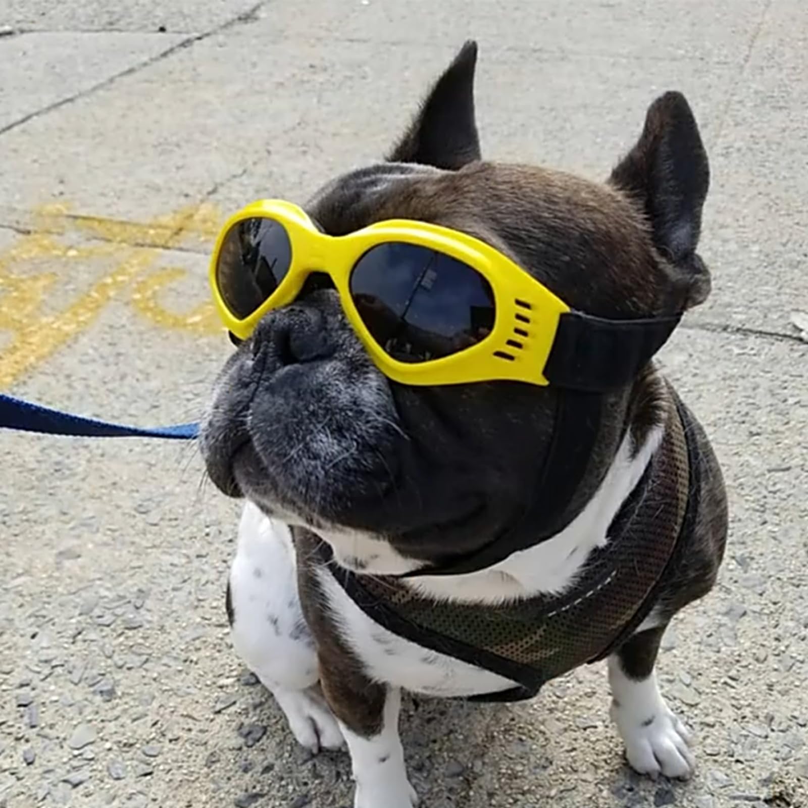 Occhiali per Cani Taglia Piccola, Pieghevole Occhiali da Sole per Cani e Gatti, Protezione UV, Regolabile, con Collari per Pet, Giallo