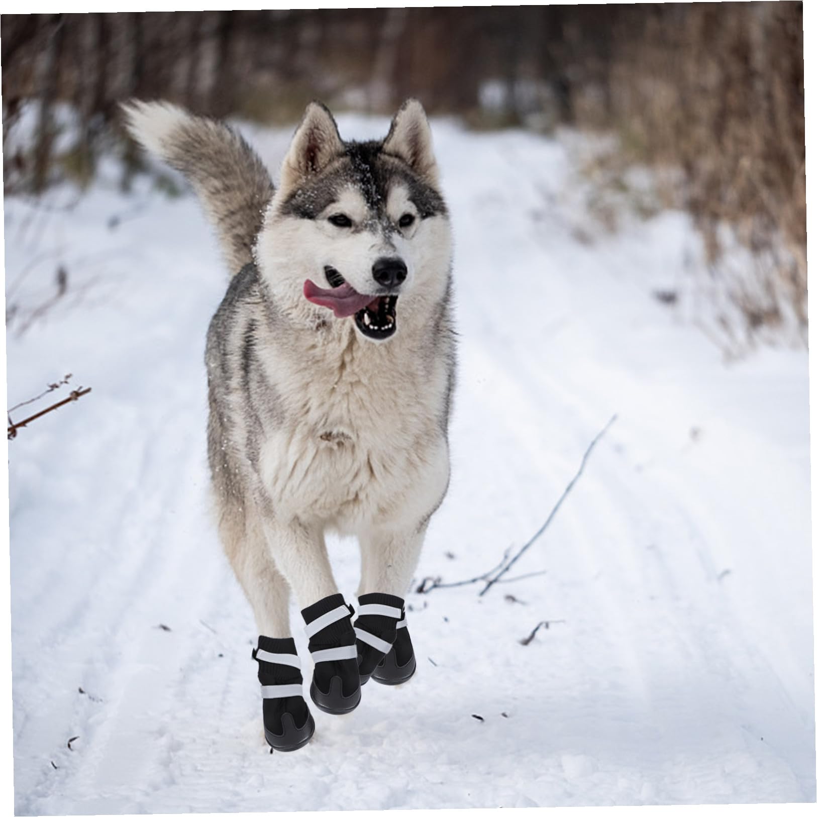Mipcase 12 Pièces Bottes pour Chien de Compagnie Chien de contrôle de Traction Chaussettes Chaussures pour s de Compagnie Bottes Chaudes pour Chaussures d'hiver pour Black