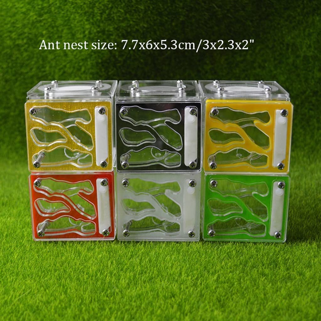 HRTC Formicaio Quadrato Mini formicaio in Acrilico Formica Trasparente Fatto a Mano Habitat educativo Unico Regalo per Bambini Ecosistema della Colonia di formiche