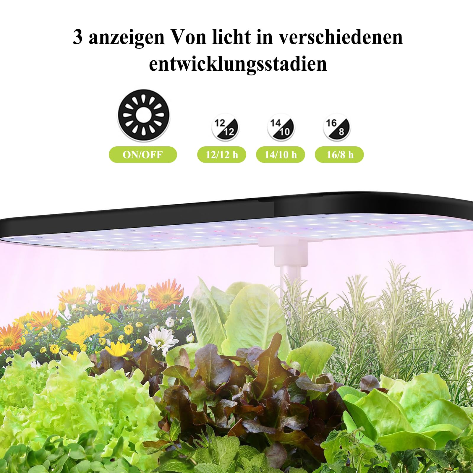 Hydroponiczne systemy do uprawy, Smart Garden z lampą LED do roślin, automatyczny timer, zestaw do ogrodu ziołowego, regulacja wysokości, czarny (12 otworów)