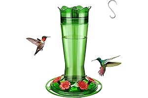Anna's Best Outdoor Glass Hummingbird Feeder