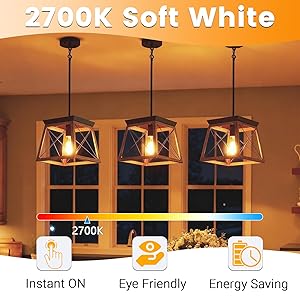 novapollo Edison Light Bulbs 5.5W, 60W Equivalent Dimmable Vintage LED Light Bulbs, 500LM E26 Medium Base Soft White 2700K LED Bulb, ST19 90+ CRI LED Bulb, Clear Glass,12 Pack