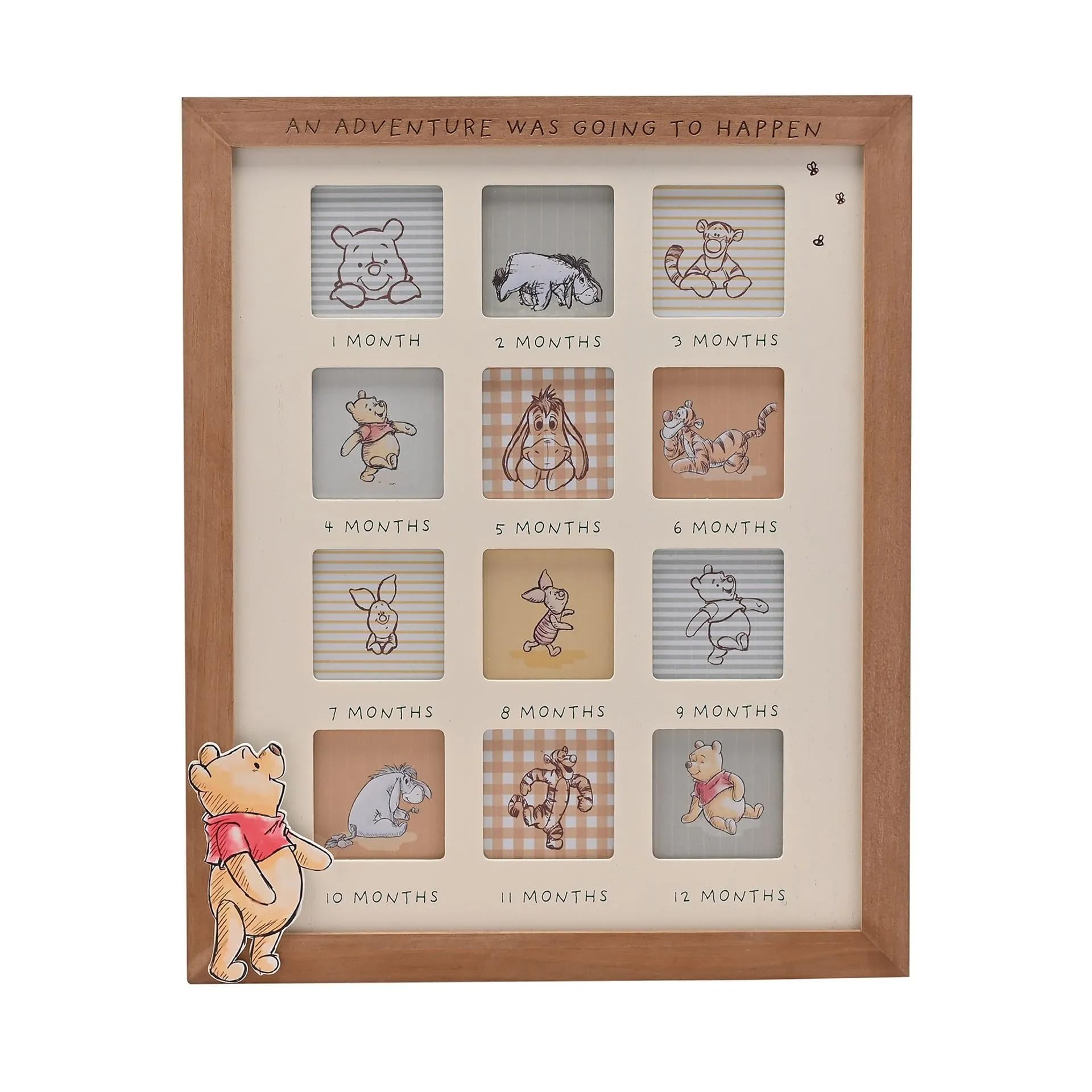 Disney Winnie The Pooh 12-Month Photo Frame