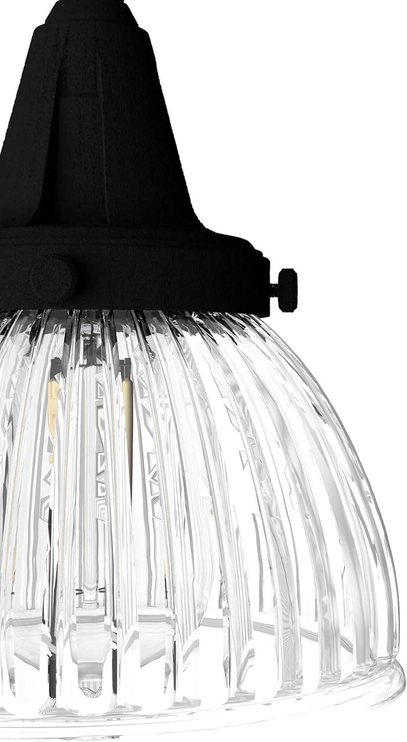 Hunter - Cypress Grove 3-light Natural Black Iron, Medium Size Cluster Light, Dimmable, Transitional Style, Round Shaped, for Bedrooms, Kitchens, Dining, Living Rooms - 19174