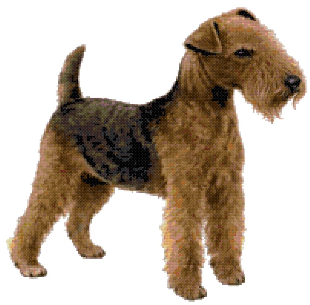 Lakeland Terrier Dog Counted Cross Stitch Pattern