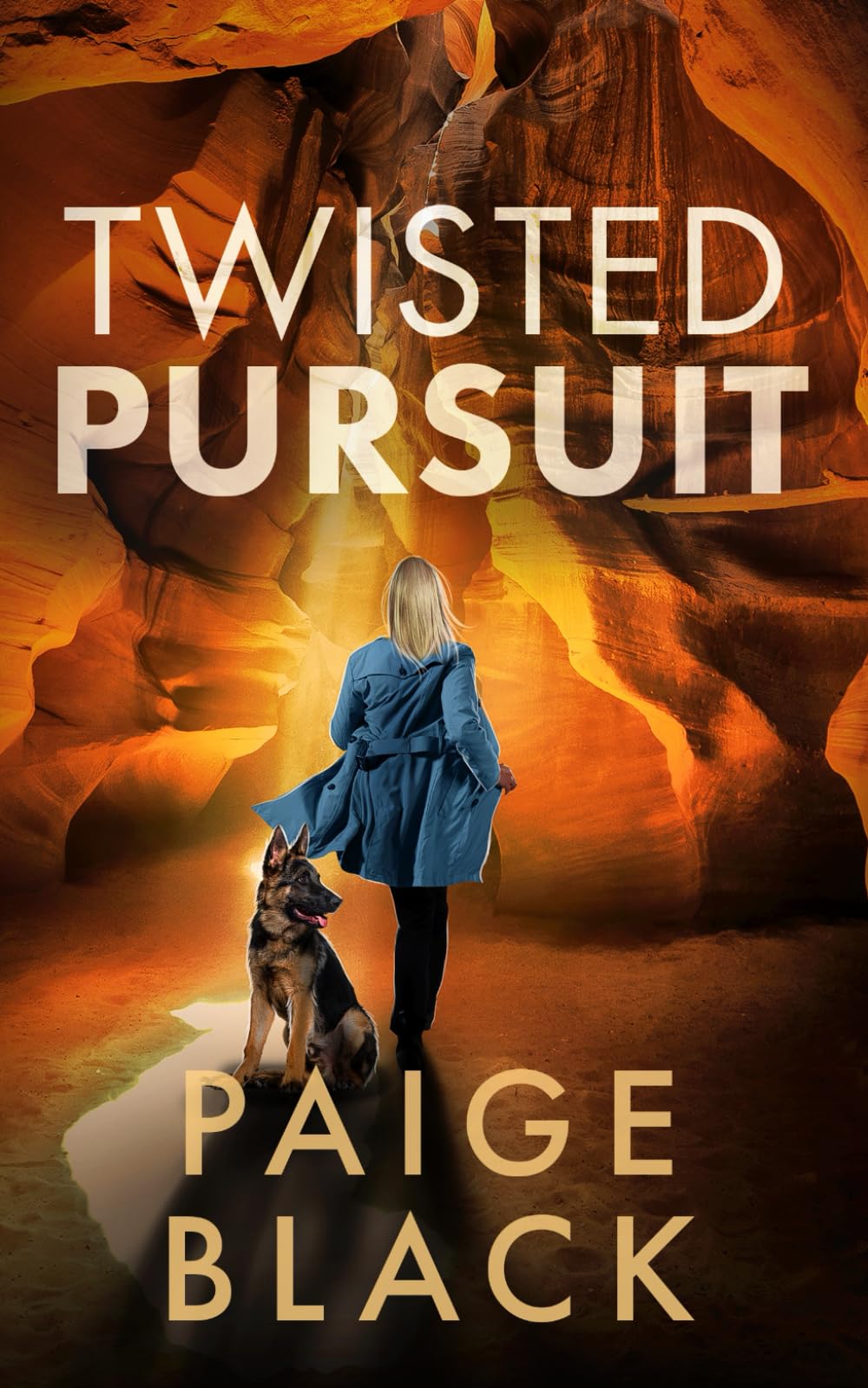 Twisted Pursuit (Eden Mercer K-9 Mystery Thriller)