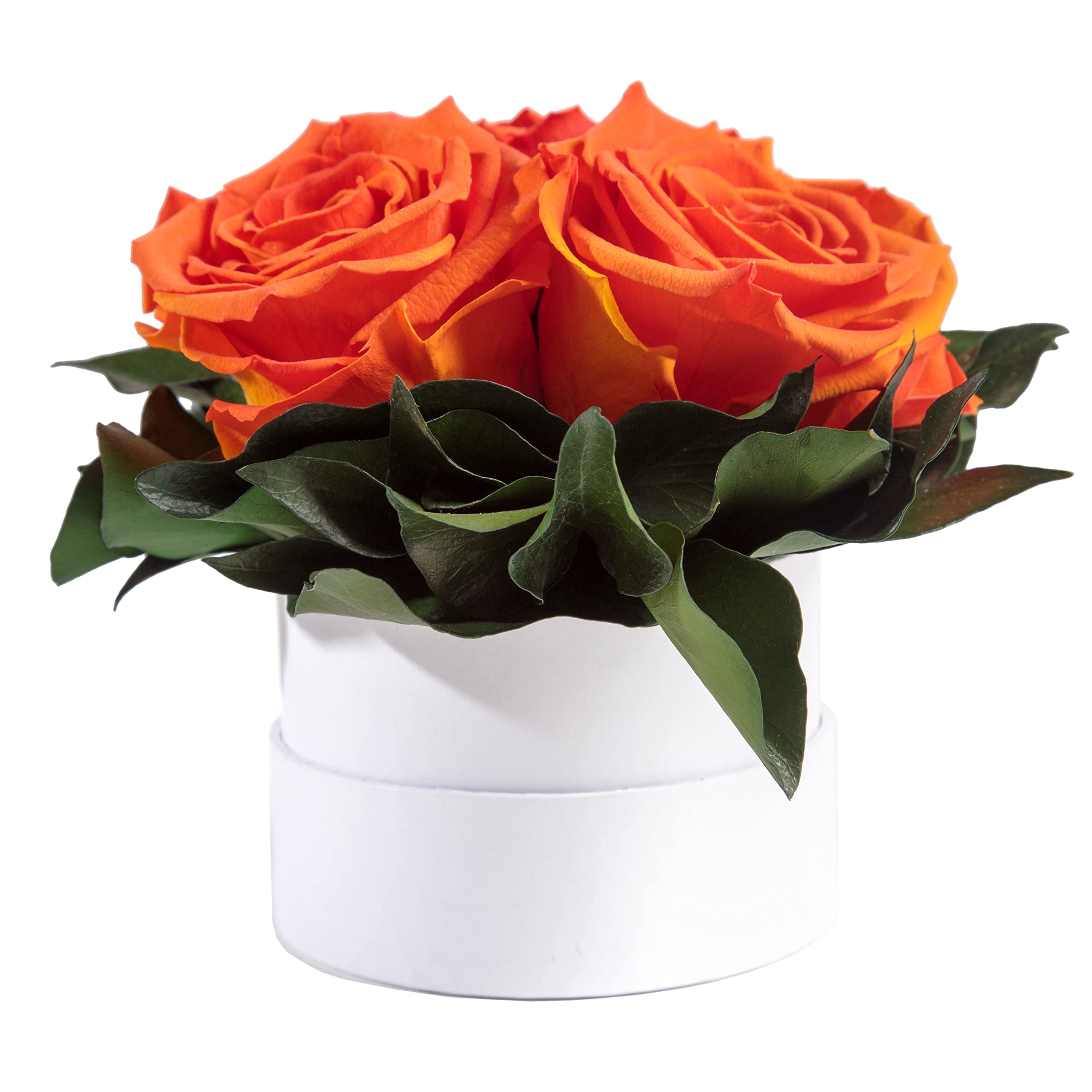 Infinity Rosenbox weiß rund konservierte Blumen Orange - 3 Infinity Rosen Durchmesser 15 cm - Lieblingsmensch Geschenk (Orange, Medium)